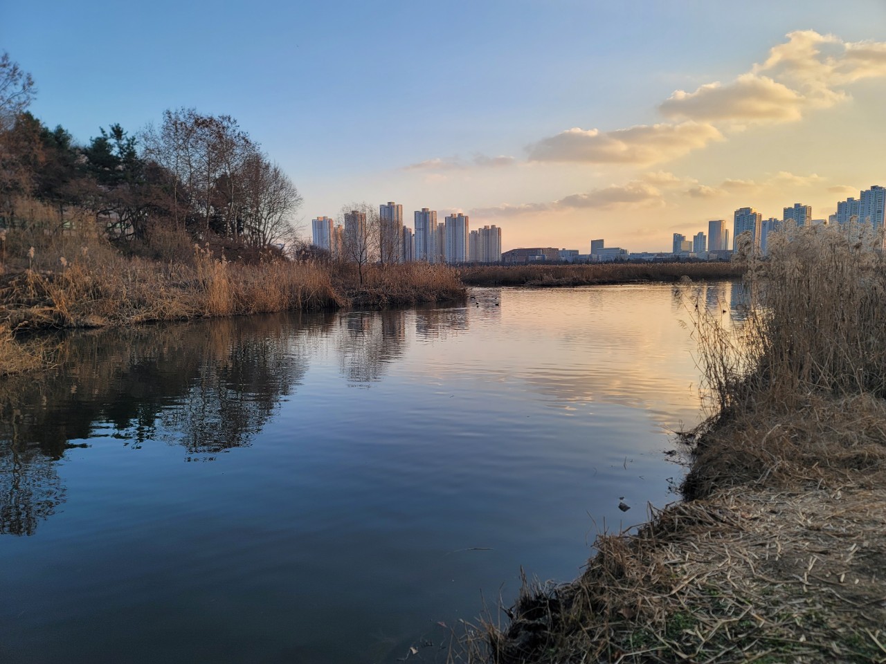 연수구, 승기천 수질 개선 결실…2년여 만에 ‘1등급’ 
